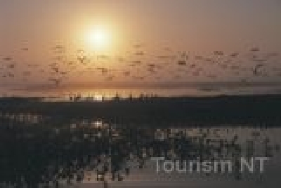 Fogg Dam - Darwin-NT KAK Fogg 7.jpg